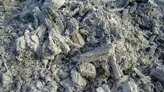 Zašto pepeo u vrtu nepravilno primjenjujemo: 3 pogreške pri primjeni koje biljke ne vole – a ni tlo. I kada nije koristan